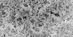 りん酸塩処理皮膜の電子顕微鏡写真（写真2）
