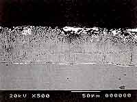 写真５　裸鋼板と接合した亜鉛めっき鋼板暴露面の顕微鏡写真（横浜）