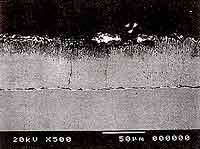 写真6　ステンレスとの接合境界部の顕微鏡写真（横浜）
